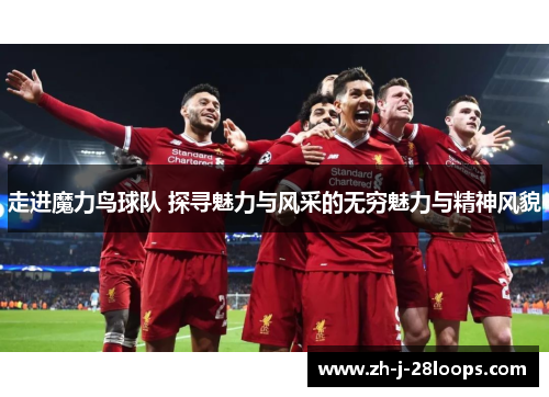 走进魔力鸟球队 探寻魅力与风采的无穷魅力与精神风貌