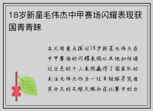 18岁新星毛伟杰中甲赛场闪耀表现获国青青睐